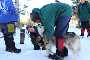 Dog Sledding