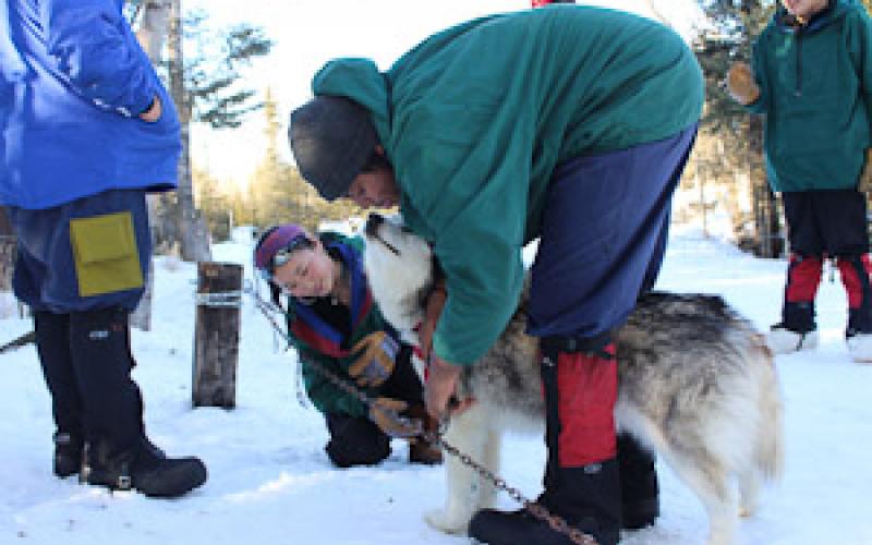 Dog Sledding